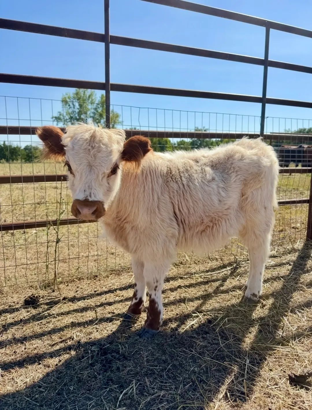 WhatsApp Image 2025-12-06 at 13.28.45_0ba38e29